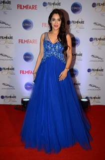 Rashmi Nigam poses for the media at Filmfare Glamour and Style Awards