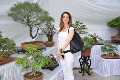Suzanne Khan poses for the media at the Inauguration of Exotic Bonsai Exhibition