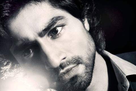 Harshad Chopra in Humsafars