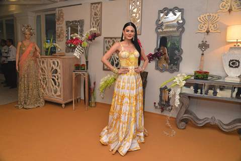 Aanchal Kumar poses for the media at Shane & Falguni Peacock Preview for Bridal Asia Show