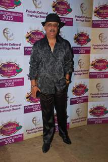 Rajesh Puri attends Punjabi Icon Awards