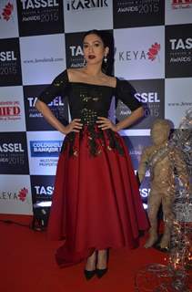 Gauahar Khan at Tassel Fashion & Lifestyle Awards 2015