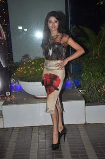 Urvashi Rautela at Success Bash of Mary Kom