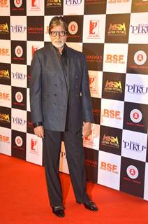 Amitabh Bachchan poses for the media at the Success Bash of Piku