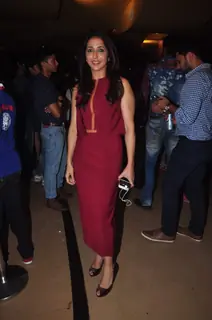 Krishika Lulla at Screening of Tanu Weds Manu Returns