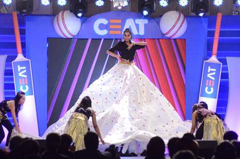 Lisa Haydon Ceat Cricket Awards