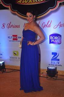 Shruti Ulfat at Gold Awards