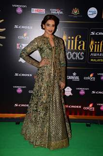 Bipasha Basu at IIFA Awards