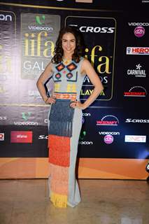 Lauren Gottlieb poses for the media at the Premier of Dil Dhadakne Do at IIFA 2015
