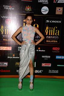 Anusha Dandekar poses for the media at IIFA 2015 Day 2