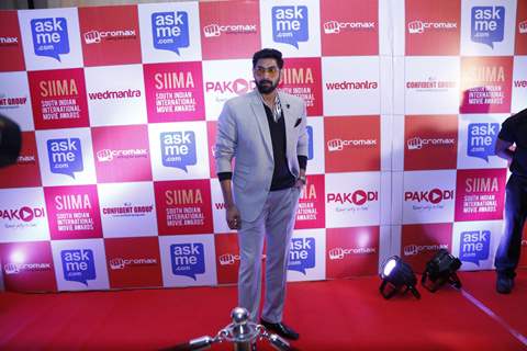 Rana Daggubati at SIIMA Press Conference