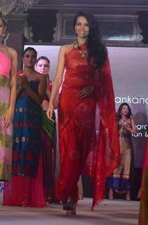 Dipannita Sharma at North East Festival