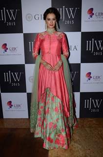 Evelyn Sharma at IIJW 2015