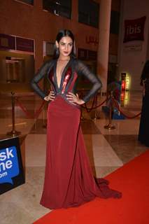 Sonal Chauhan at SIIMA 2015