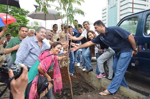 Celebs at Tree Plantation Event