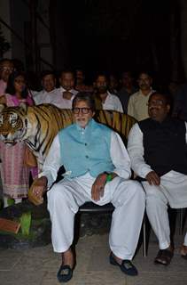 Amitabh Bachchan Announced as the Ambassador of Save The Tiger Campaign