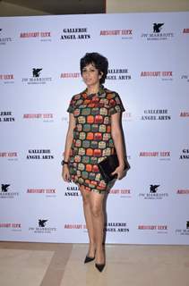 Pratichee Mohapatra at the Gallerie Angel Arts Event