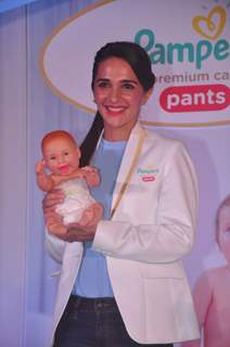 Tara Sharma at Pampers Event