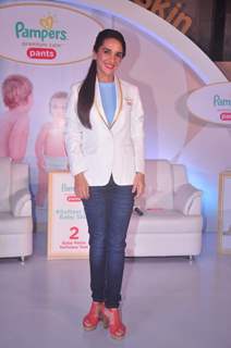 Tara Sharma at Pampers Event