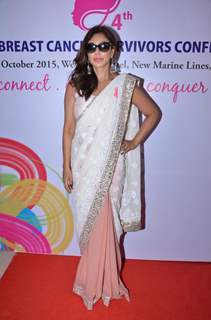 Lisa Ray at Breast Cancer Survivors Awareness Conference