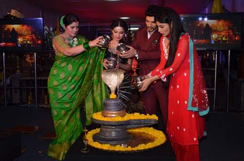 Sudha Chandran, Arjun Bijlani, Adaa Khan and Mouni Roy at Launch of Colors' New Show 'Naagin'