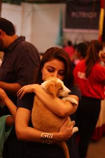 Soha Ali Khan at 'Adoptathon' Campaign for Pet Adoption