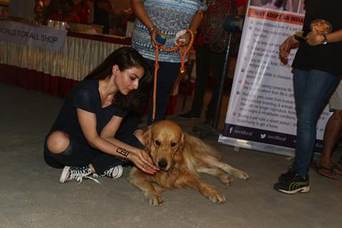 Soha Ali Khan Plays with a Dog at 'Adoptathon' Campaign for Pet Adoption