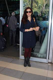 Celebs Snapped at Airport