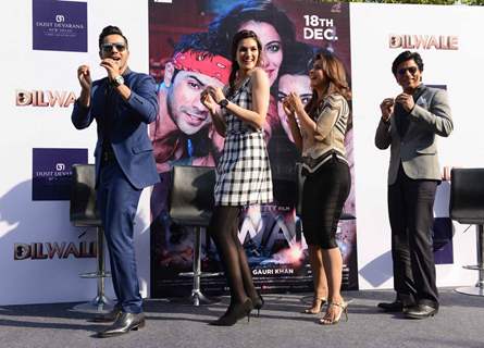 Dilwale Cast at Press Meet of 'Dilwale' in Delhi