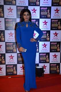 Raveena Tandon at the 22nd Annual Star Screen Awards