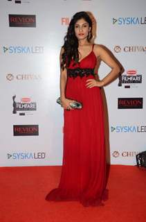 Ishita Raj at Filmfare Awards - Red Carpet