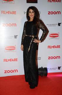 Krishika Lulla at Filmfare Awards - Red Carpet