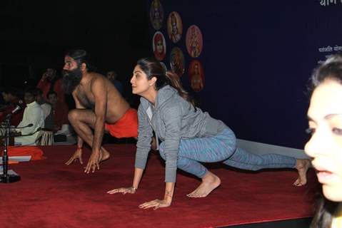 Shilpa Shetty Excersing with Baba Ramdev at 'Yog Chikitsa' Campaign