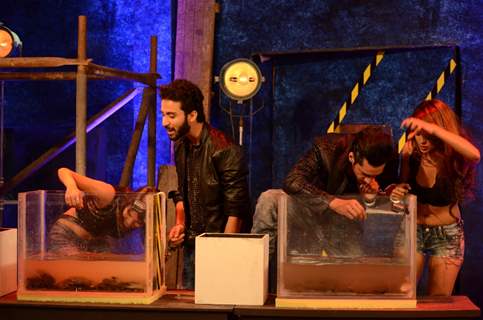 Bigg Boss 9 Contestants Performing Khatron Ke Khiladi Task