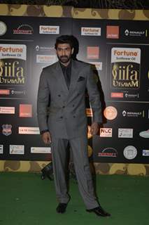 Rana Daggubati at IIFA Utsavam Day 2