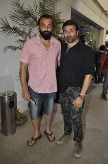 Bobby Deol and Sunny Deol at Special Screening of 'Aligarh'