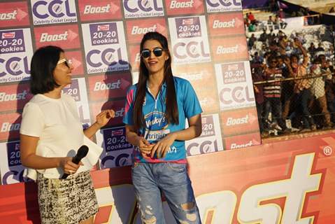 Kriti Sanon Snapped at CCL Match