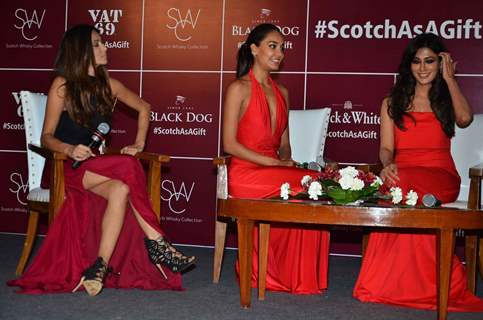 Beauties Shibani Dandekar, Lisa Haydon and Chitrangada Singh  at SWC 'Black Dog - Vat 69' Meet