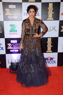 The 'Gorgeous' Shriya Saran at Zee Cine Awards 2016