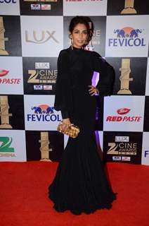 Monica Dogra at Zee Cine Awards 2016