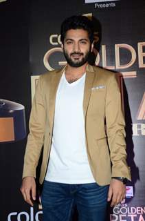 Raghav Chanana at Golden Petal Awards 2016