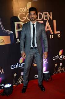 Gautam Gulati at Golden Petal Awards 2016