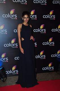 Celebs at Colors TV's Red Carpet Event