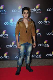 Faisal I Khan at Colors TV's Red Carpet Event