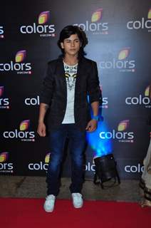 Celebs at Colors TV's Red Carpet Event