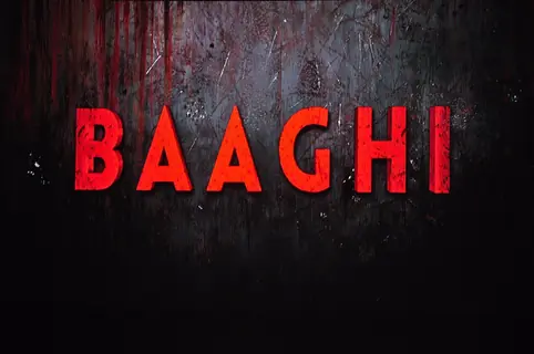 Baaghi Launches it's New Villian