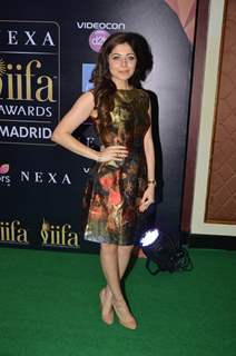 Kanika Kapoor at IIFA 2016 Press Conference