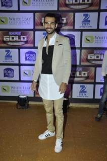 Karan V Grover at Zee Gold Awards 2016