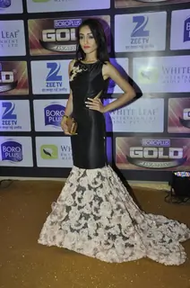 Tanya Sharma at Zee Gold Awards 2016
