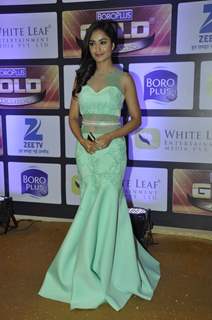 Tridha Choudhury at Zee Gold Awards 2016